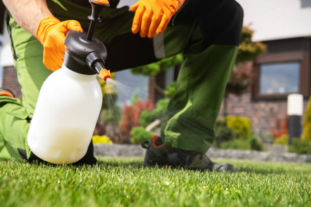 Best Exterminator Services  in Marshall, MN