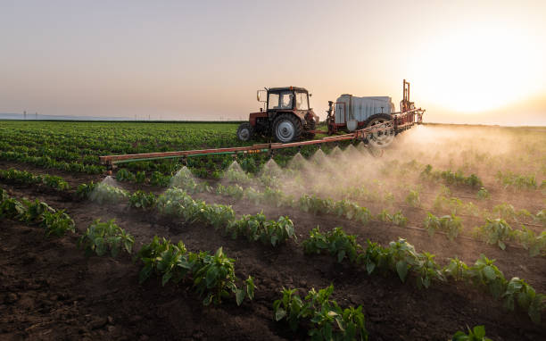 Best Pest Control for Homes  in Marshall, MN