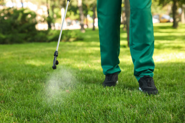 Best Pest Removal Services  in Marshall, MN