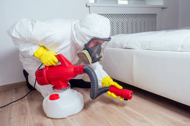 Best Local Pest Control Services  in Marshall, MN