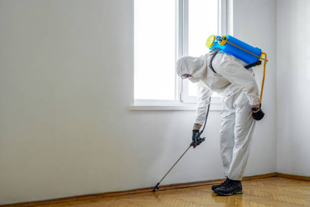 Best Exterminator Services  in Marshall, MN