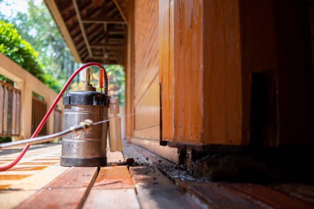 Best Cockroach Control Services  in Marshall, MN