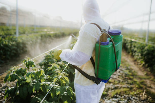  Marshall, MN Pest Control Pros